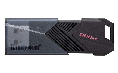 Dtxon/256Gb 256Gb Usb 3.2 Gen1 Exodia On